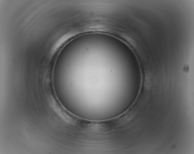 X0000112961458200908271104