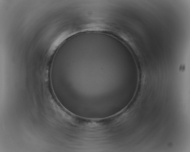 X0000112961459200908271104
