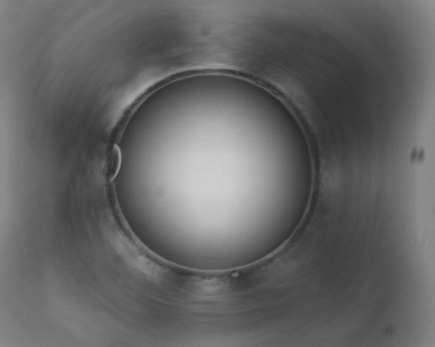 X0000112961460200908271104