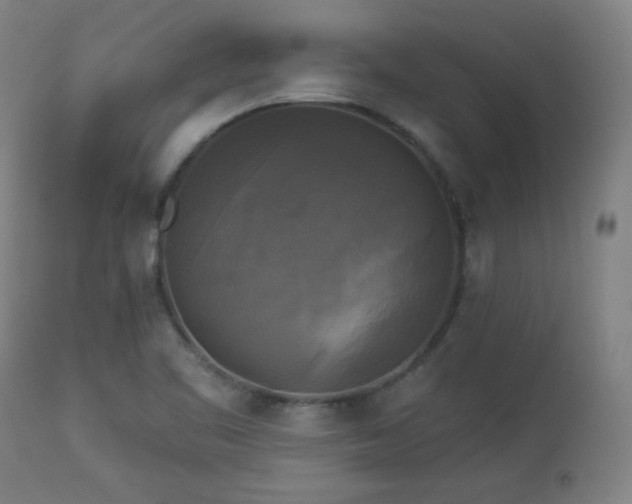 X0000112961461200908271104