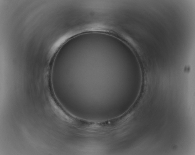 X0000112961463200908271104