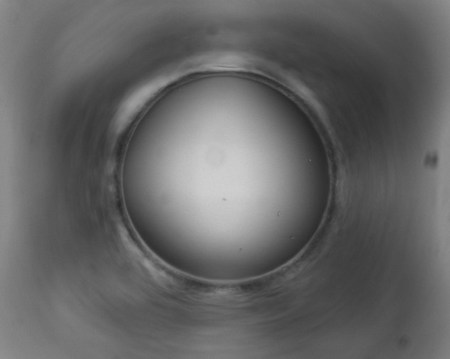 X0000112961464200908271104