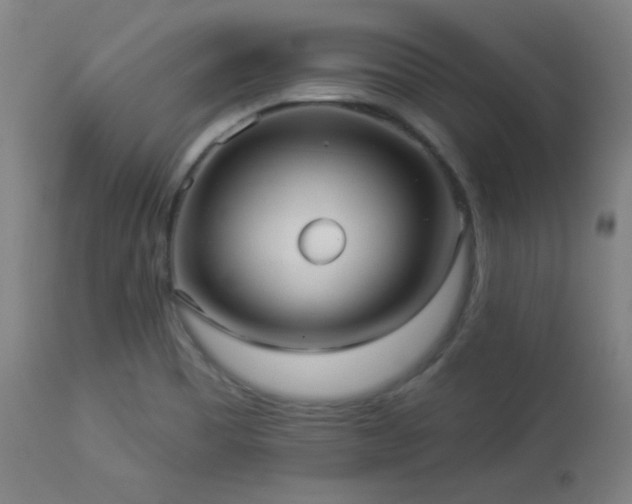 X0000112961465200908271104