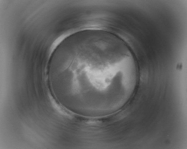X0000112961466200908271104