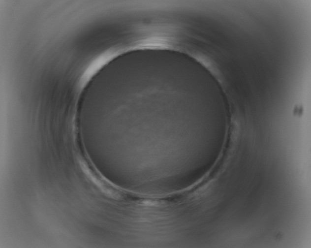 X0000112961469200908271104