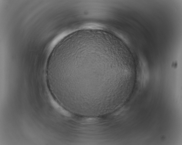 X0000112961471200908271104