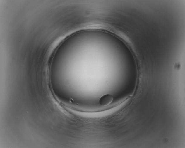 X0000112961472200908271104