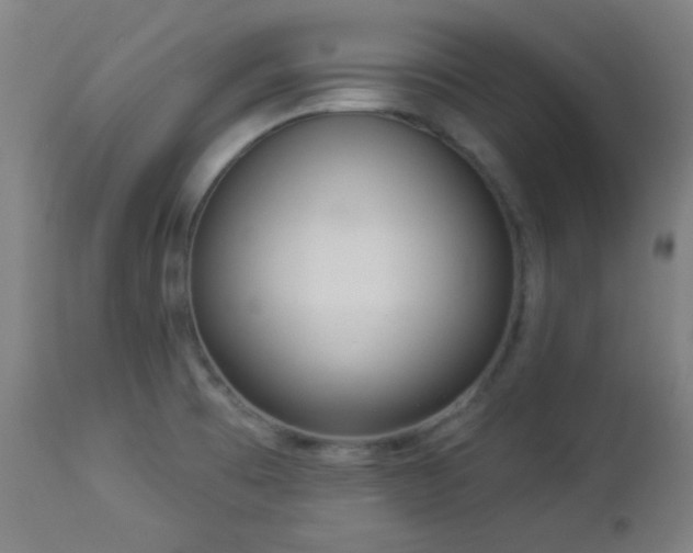 X0000112961473200908271104