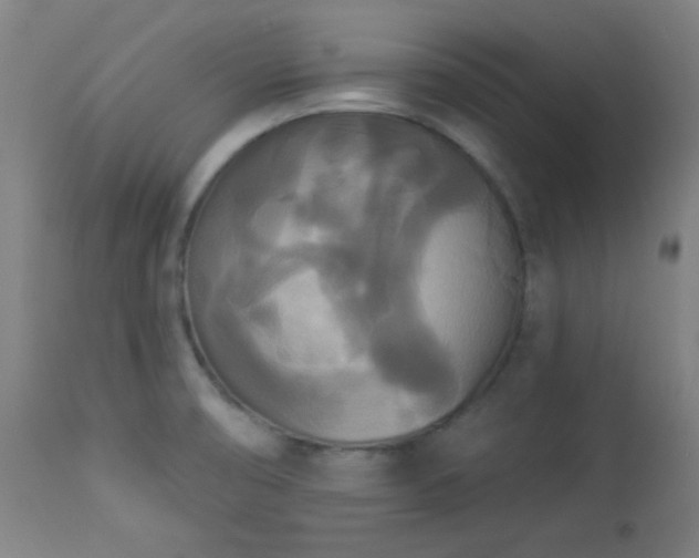 X0000112961474200908271104