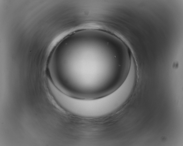 X0000112961477200908271104