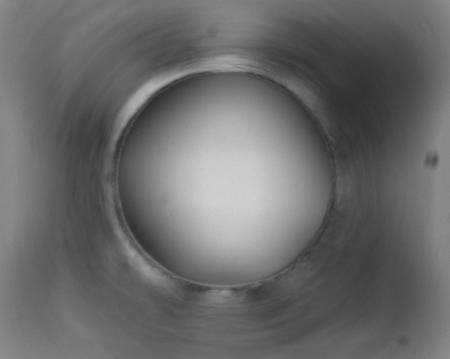 X0000112961478200908271104