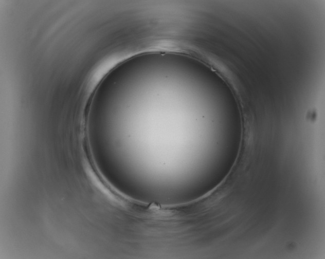 X0000112961479200908271104