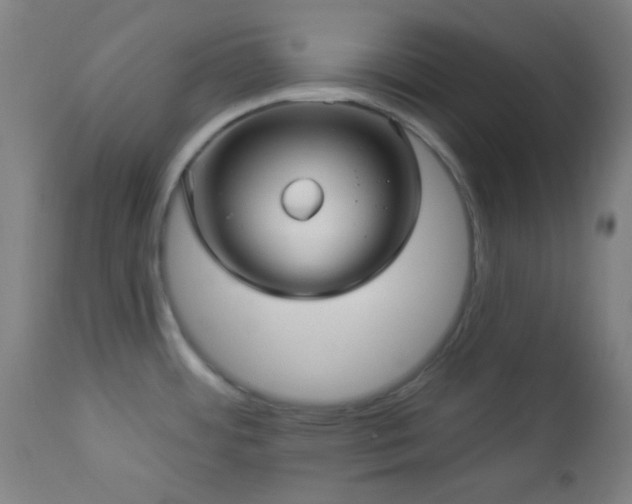 X0000112961484200908271104