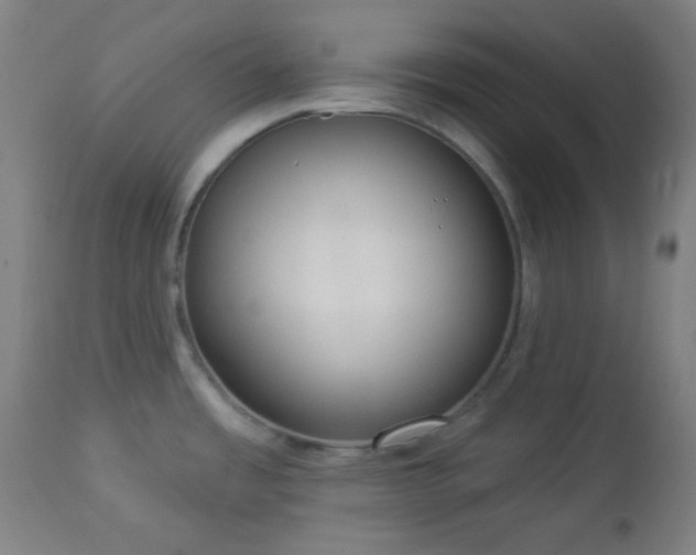 X0000112961485200908271104