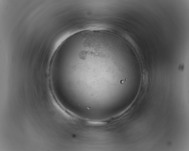 X0000112961487200908271104