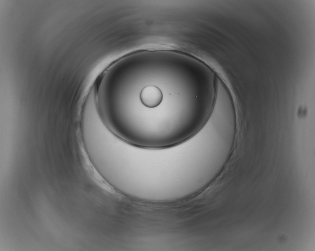 X0000112961488200908271104