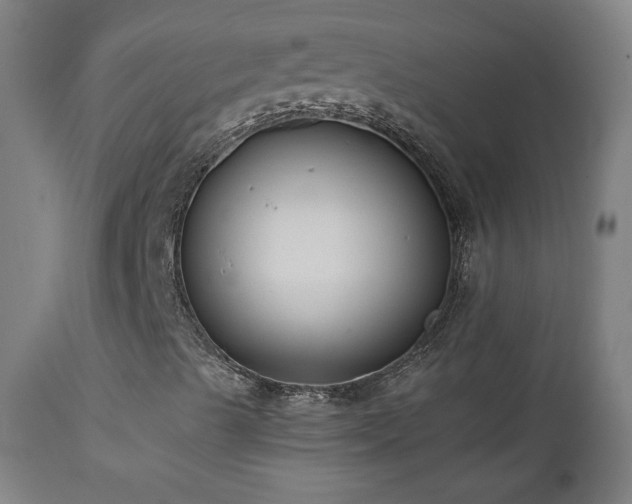 X0000112961489200908271103