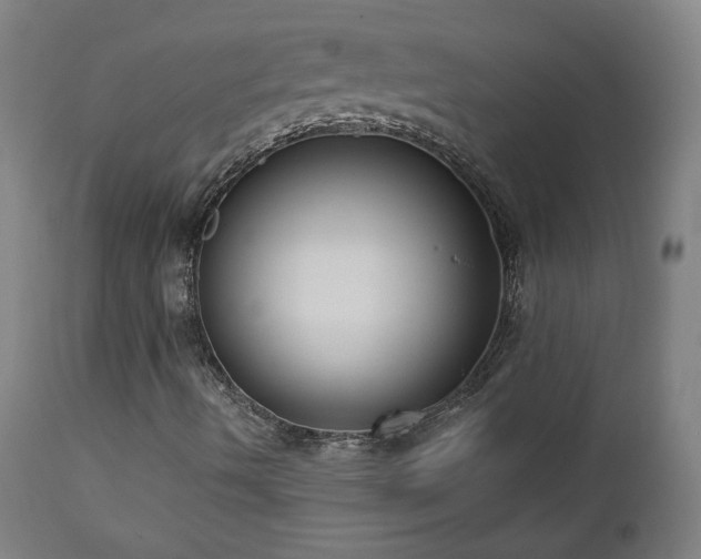 X0000112961490200908271103