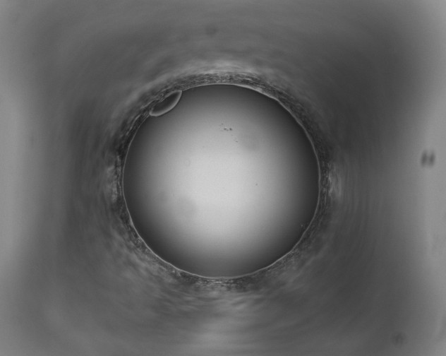 X0000112961493200908271103