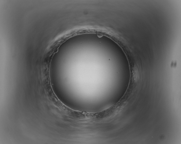 X0000112961494200908271103