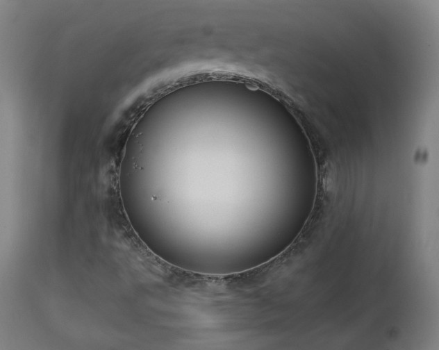 X0000112961495200908271103