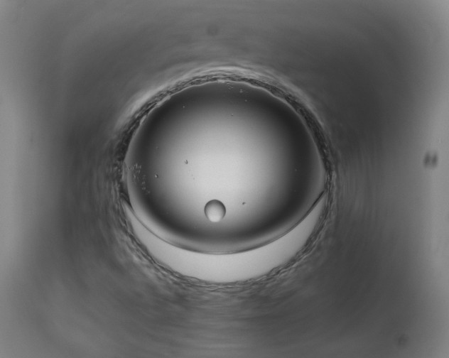 X0000112961496200908271103