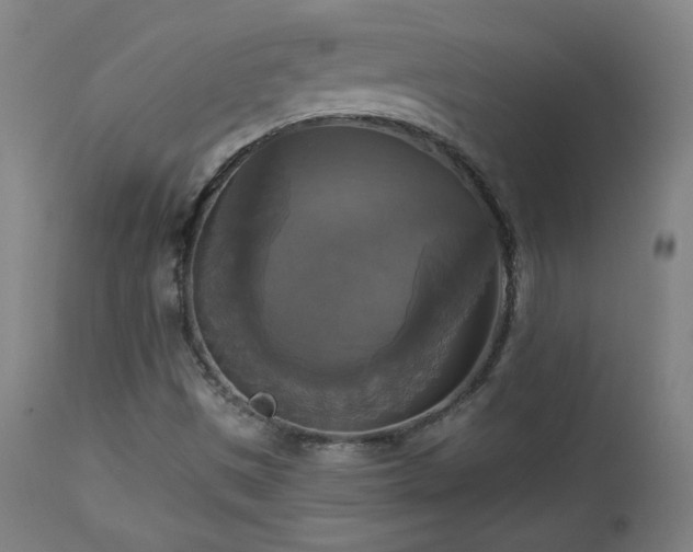 X0000112961497200908271103