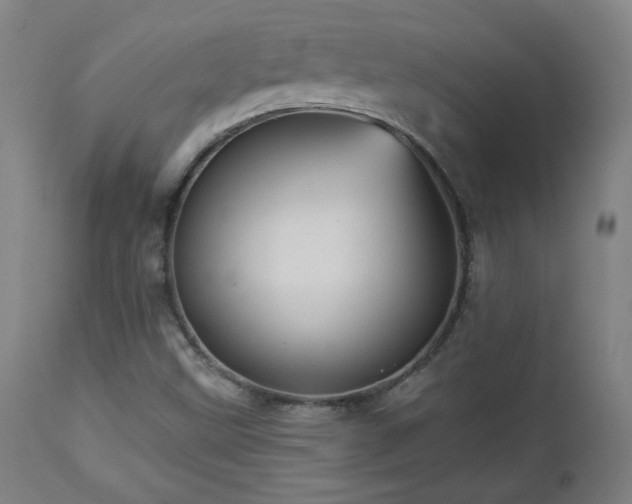 X0000112961499200908271103