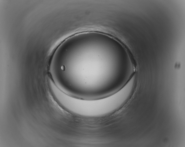 X0000112961500200908271103