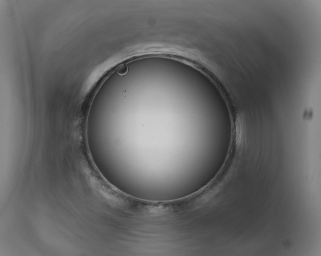 X0000112961501200908271103