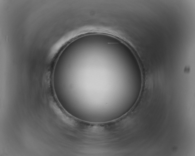 X0000112961503200908271103