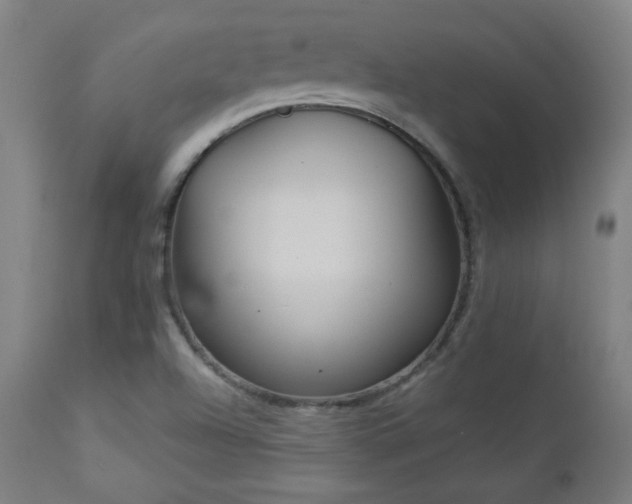 X0000112961504200908271103