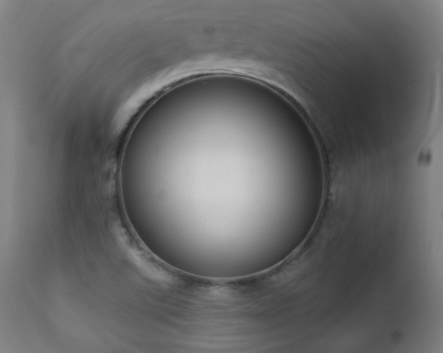 X0000112961507200908271103