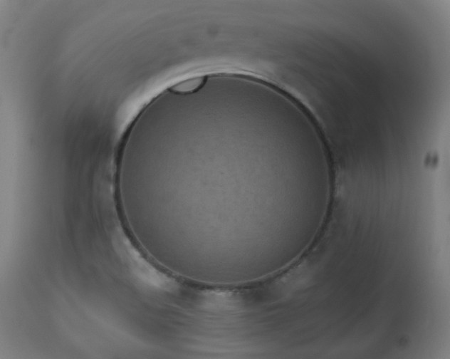 X0000112961508200908271104