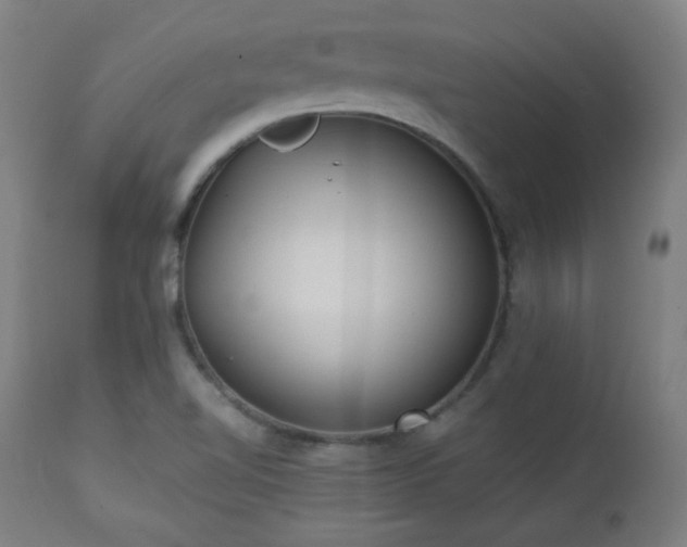 X0000112961510200908271104