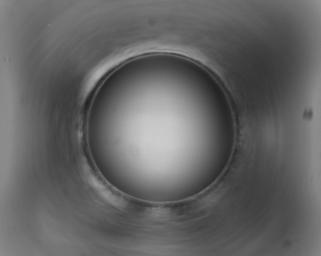 X0000112961511200908271104