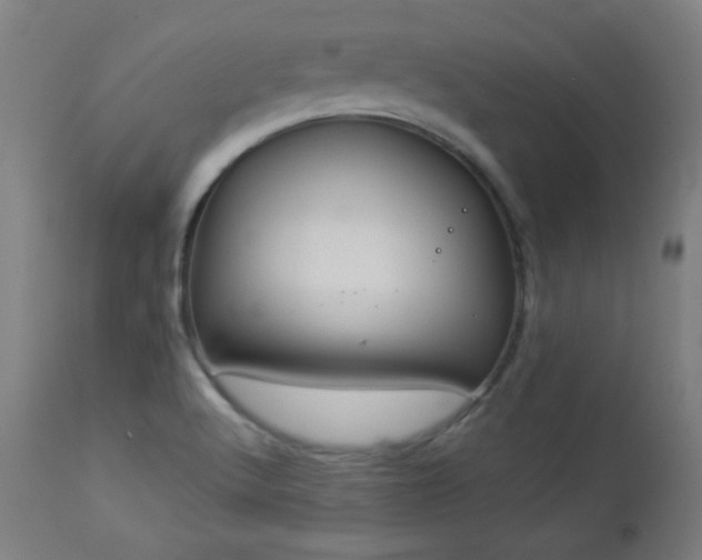 X0000112961512200908271104
