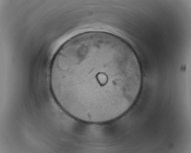 X0000112961514200908271104