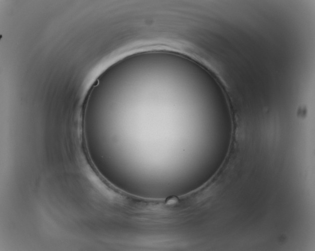 X0000112961516200908271104