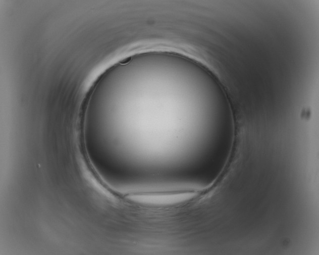 X0000112961518200908271104