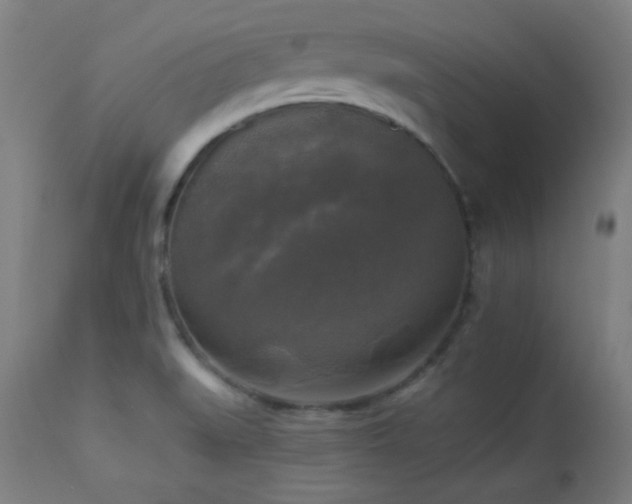 X0000112961519200908271104