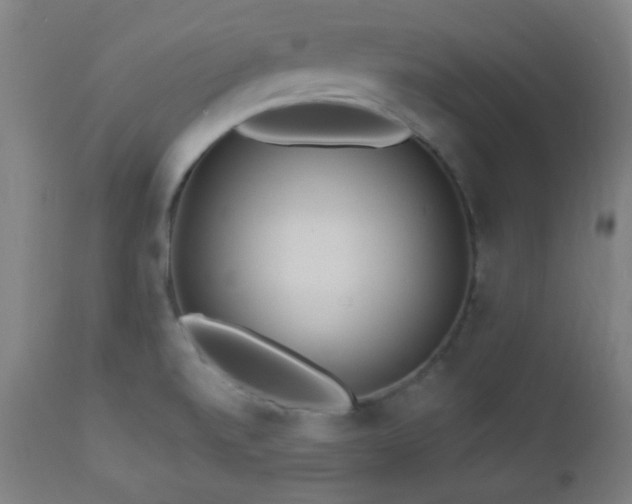 X0000112961520200908271104