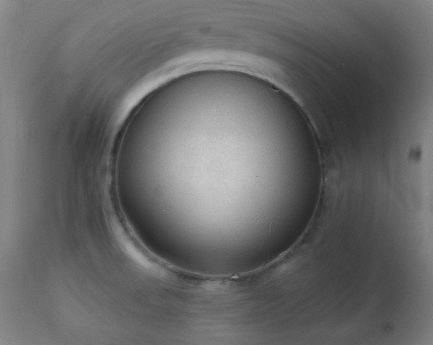 X0000112961523200908271104