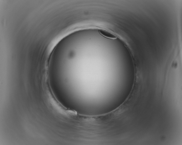 X0000112961524200908271104