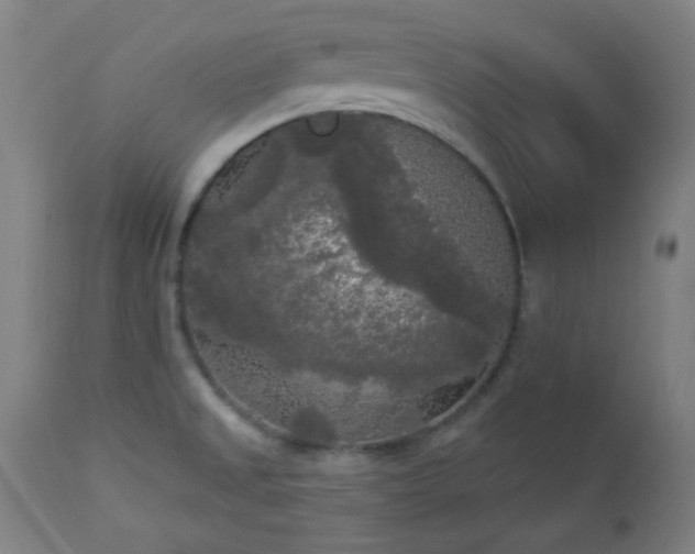 X0000112961525200908271104