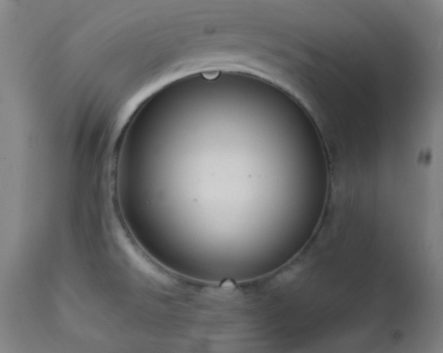 X0000112961526200908271104