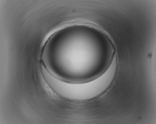 X0000112961530200908271104