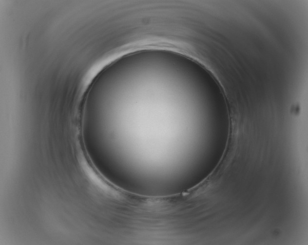 X0000112961531200908271104