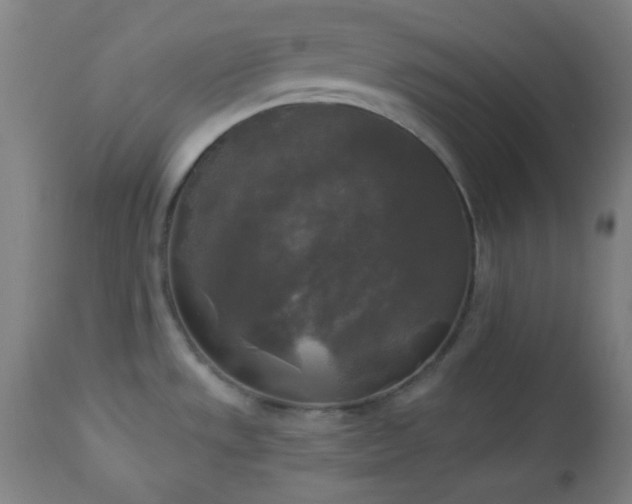 X0000112961533200908271104