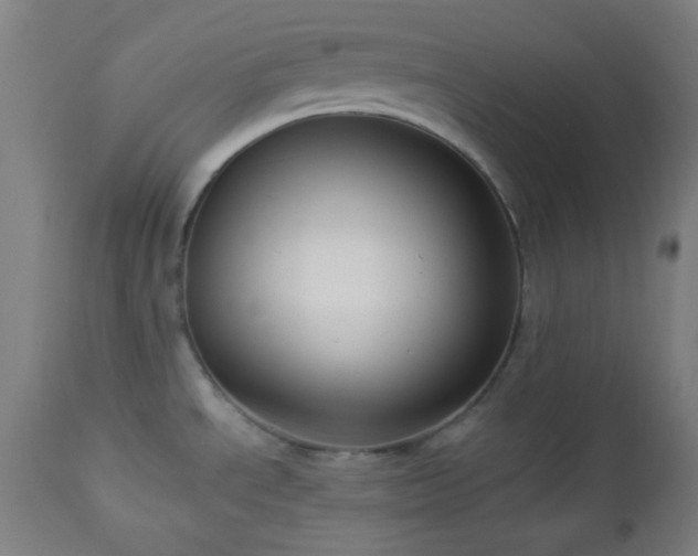 X0000112961534200908271104